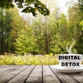 Digitális detoxikáló