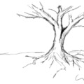Valamiért csak halott fákat tudok rajzolni :-)
