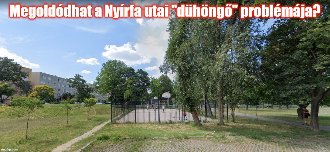 amk_nyirfa_utcai_duhongo.jpg