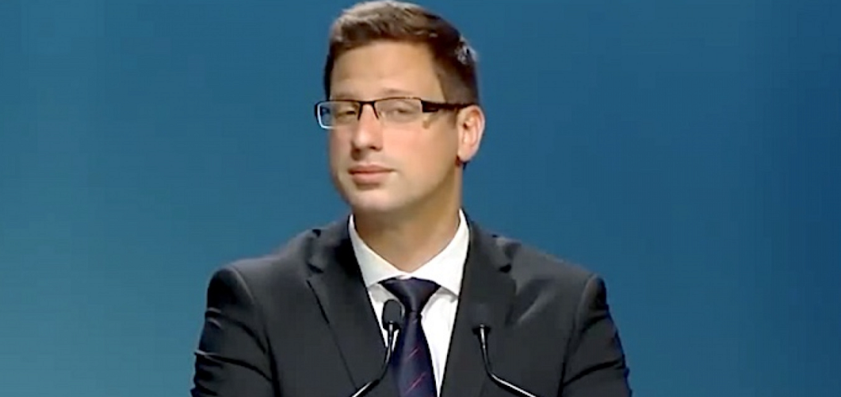 gulyas_gergely_jo.png