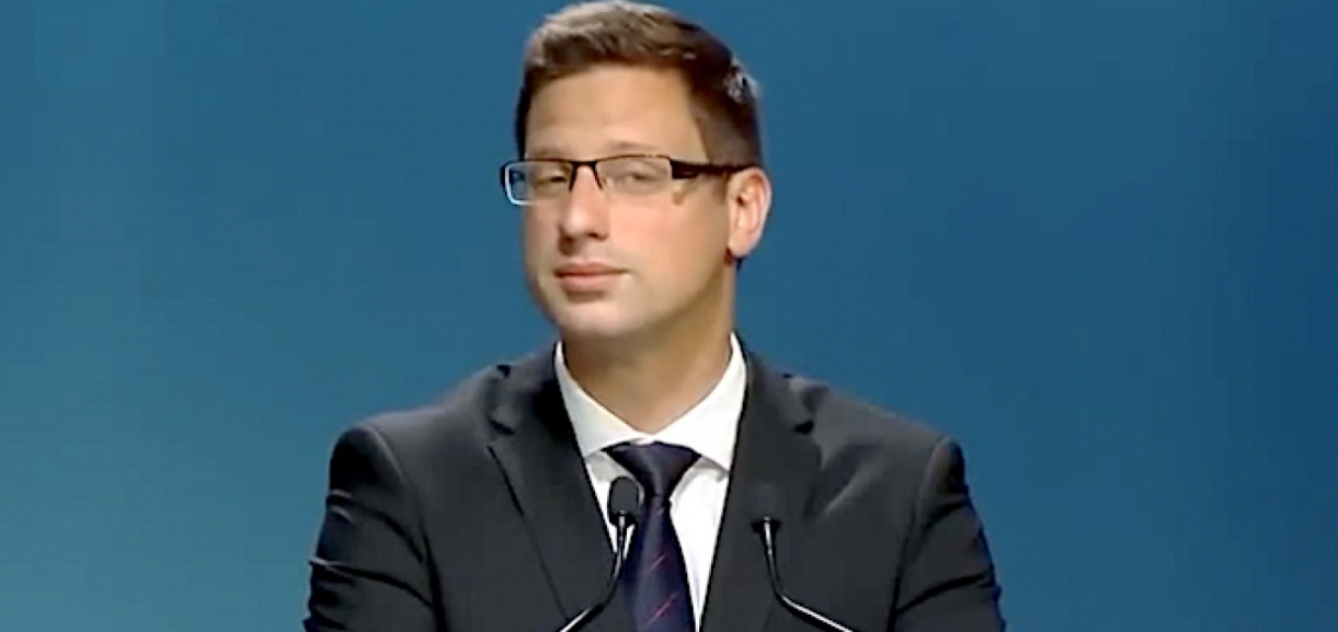 gulyas_gergely_jo_1.png