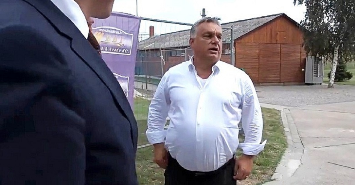 orban_a_dagadt_kover_hajas.jpg
