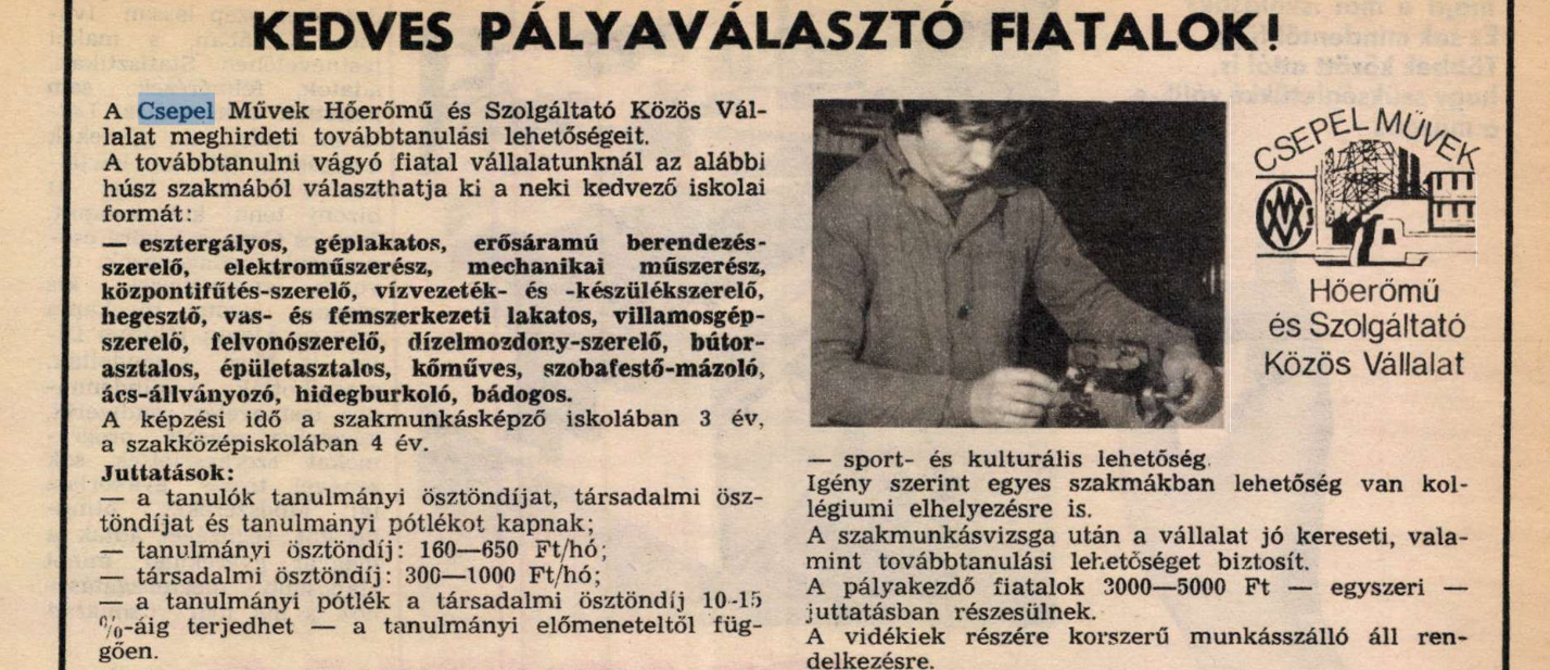 pajtas_cseszu-1987.png