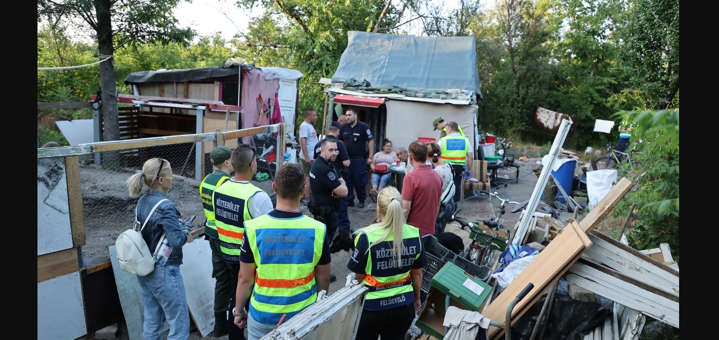 szigetcsucs_2025-06-12.jpg
