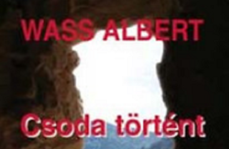 wass_albert_csoda_tortent.PNG