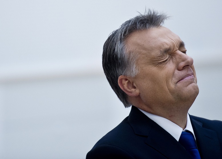 orban_viktor_grimasz.jpg