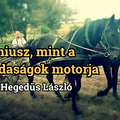 Nóniusz, mint a kisgazdaságok motorja