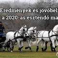 Eredmények és jövőbeli tervek a 2020-as esztendő margójára