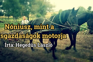 Nóniusz, mint a kisgazdaságok motorja