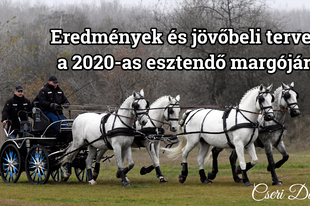 Eredmények és jövőbeli tervek a 2020-as esztendő margójára