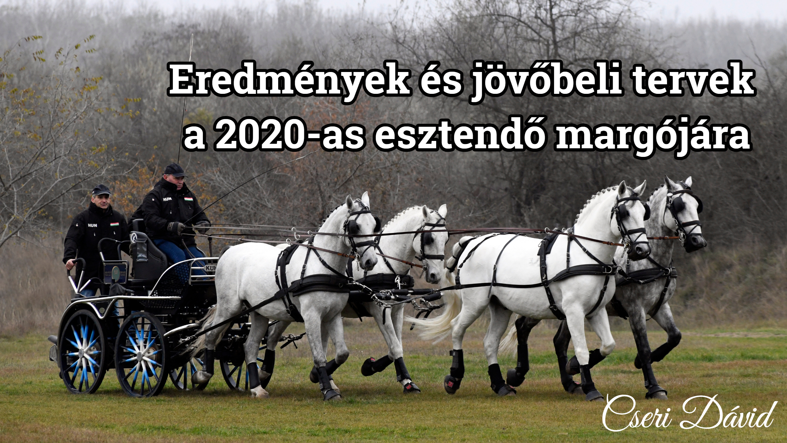 boritokep2021jan.jpg