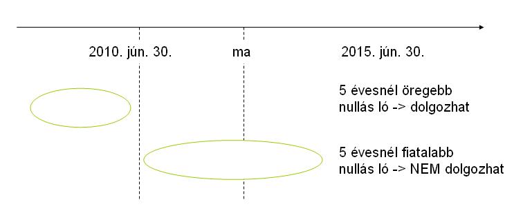 nullascsiko.JPG