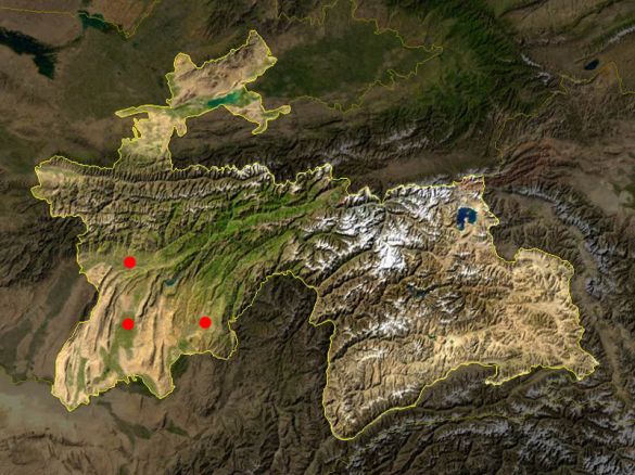 Tajik bases.jpg