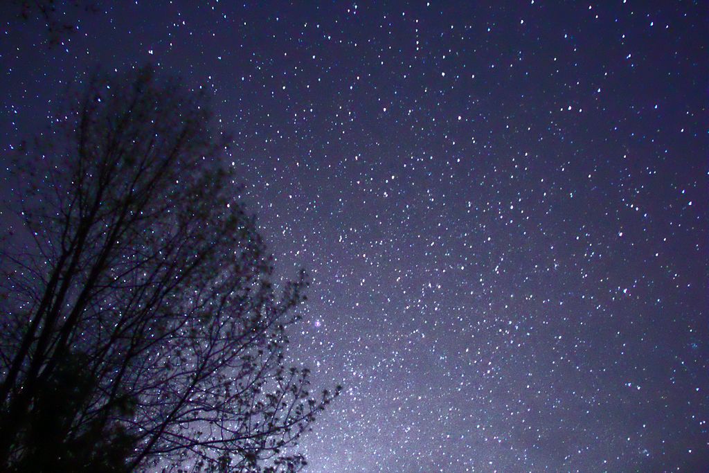 1024px-night_sky_stars_trees_02.jpg
