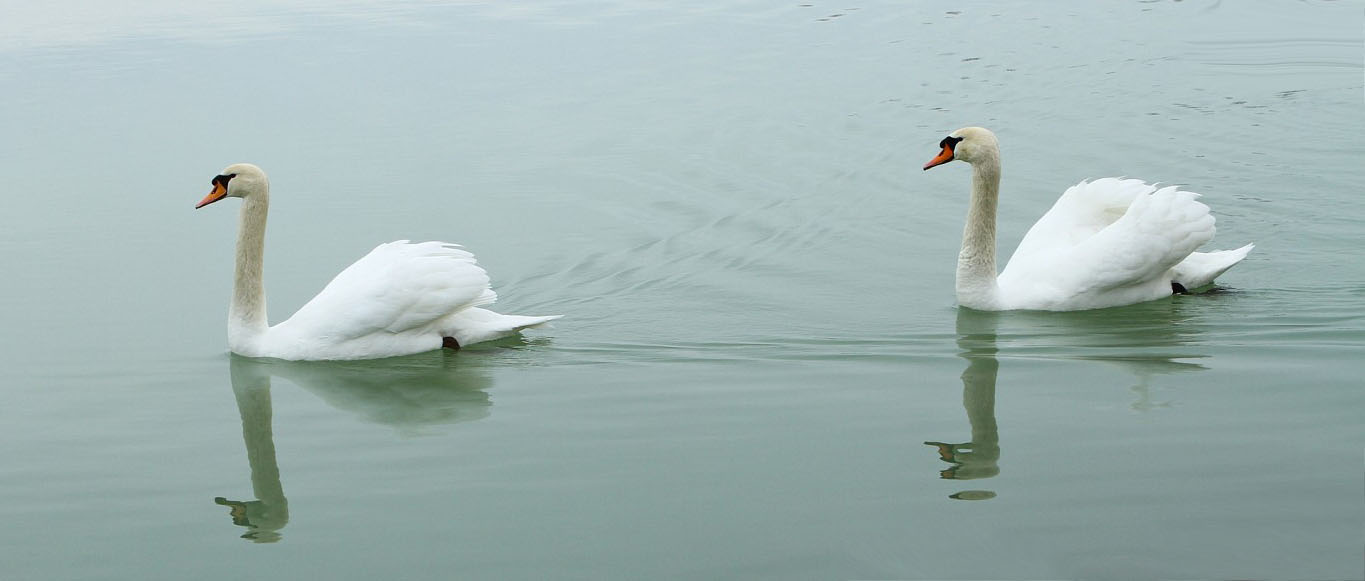 balaton.jpg