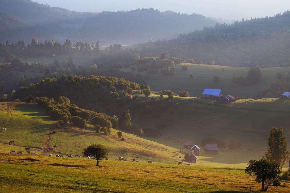 fodor_istvan_fotoja.jpg