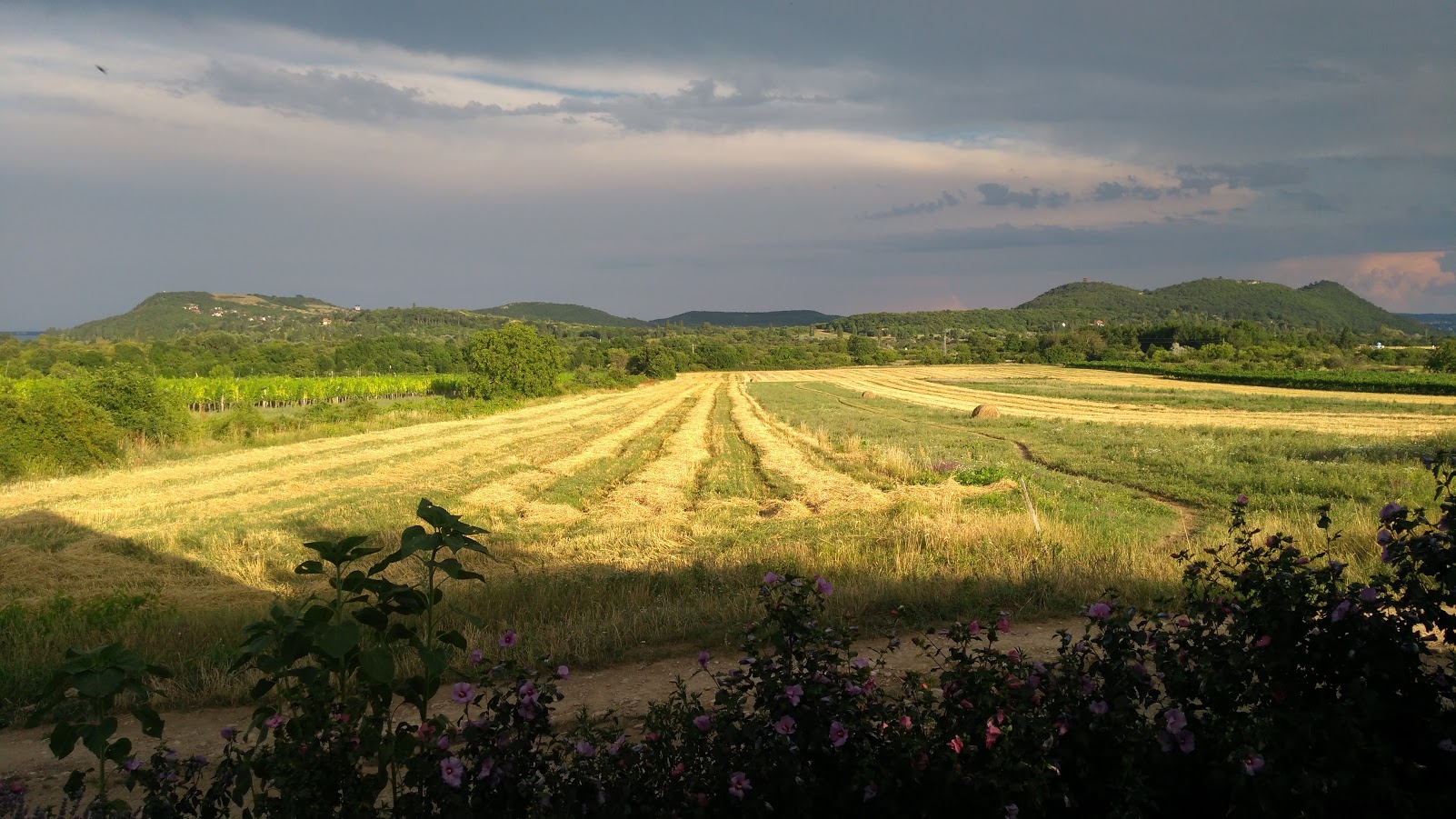 Tihany tranquility