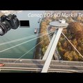 Pozsony, Canon EOS 6D Mark II teszt 02 fotókkal - Vlog 09