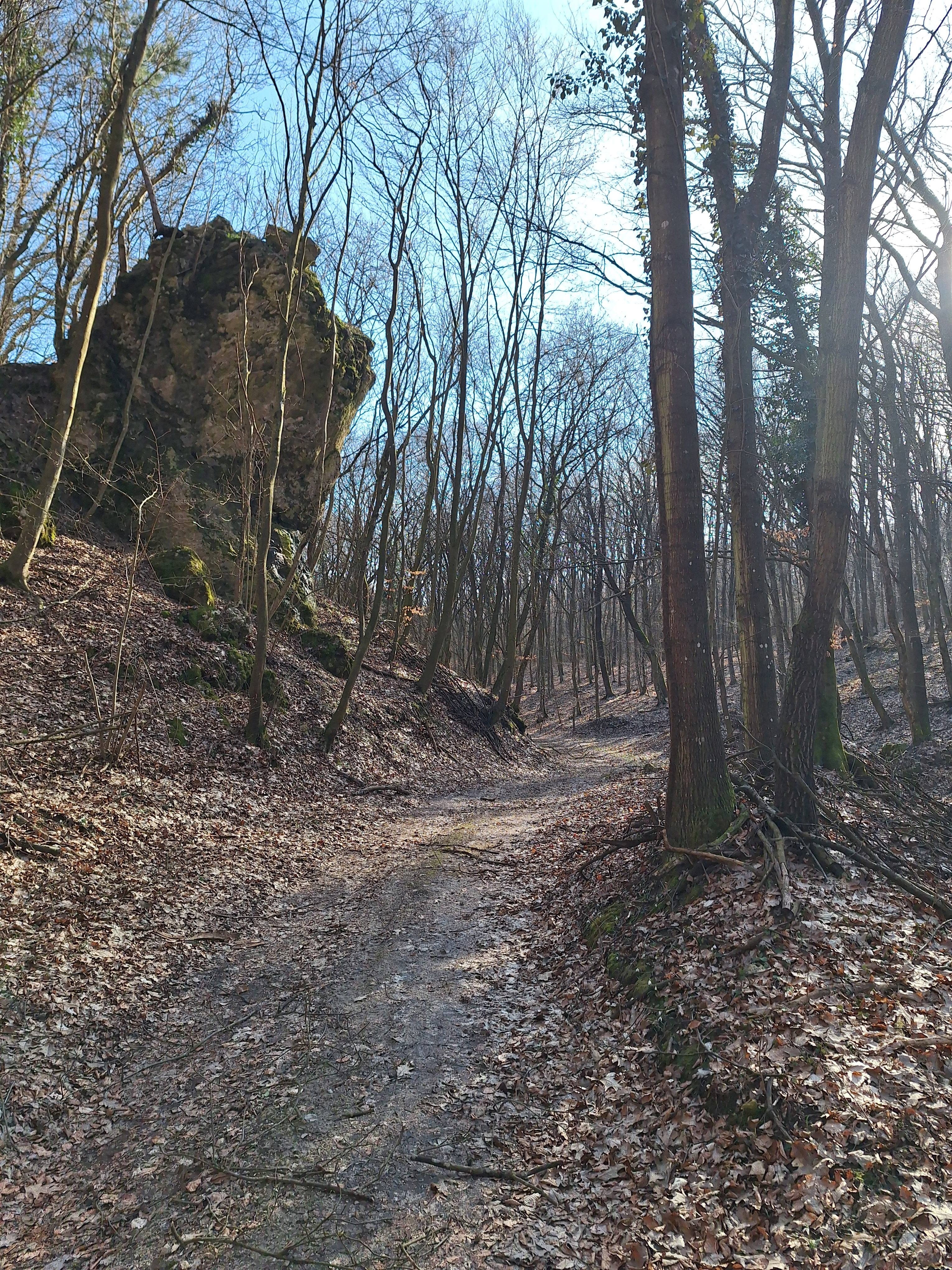0226_07.jpg