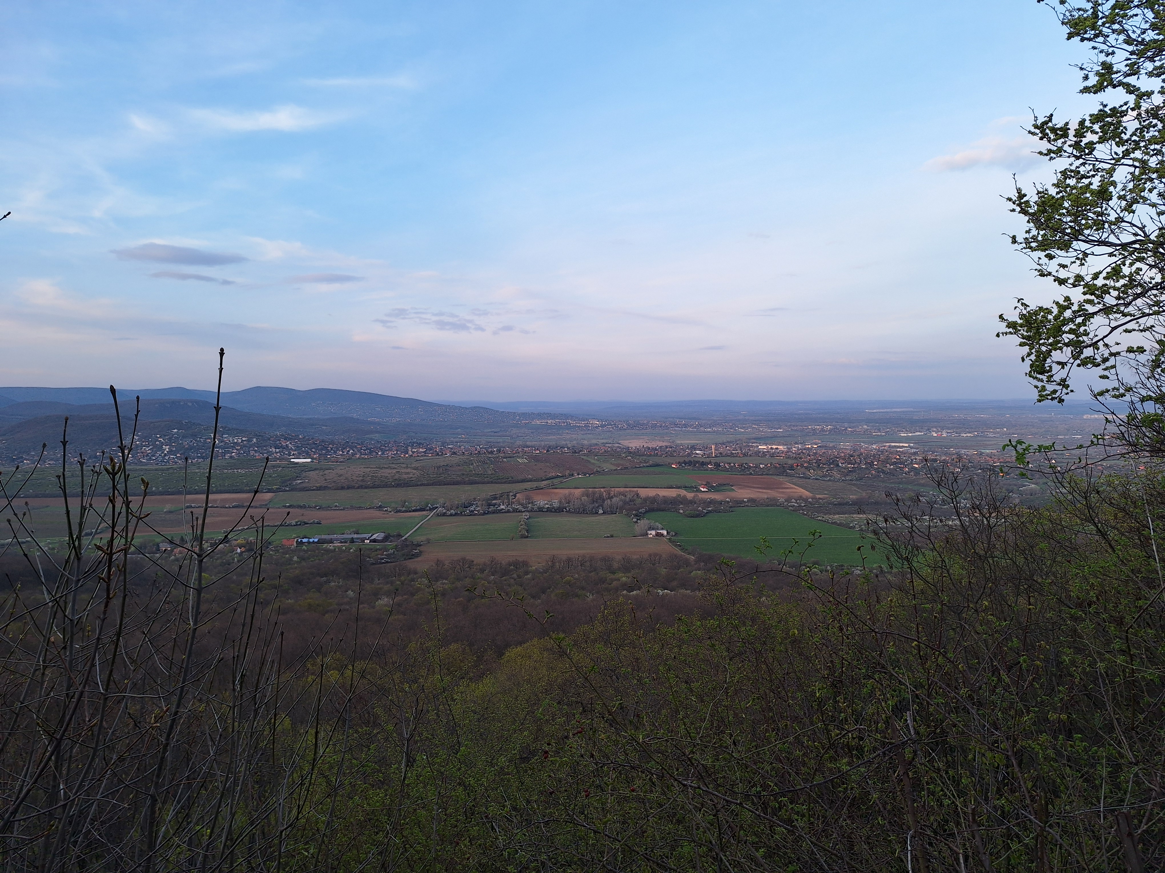 20260402_184531.jpg