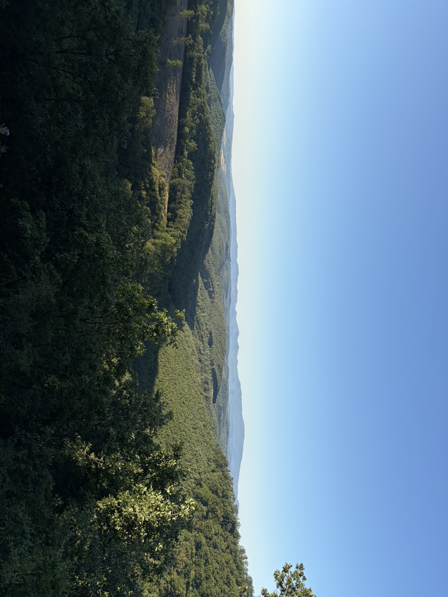 img_7524_1.JPEG