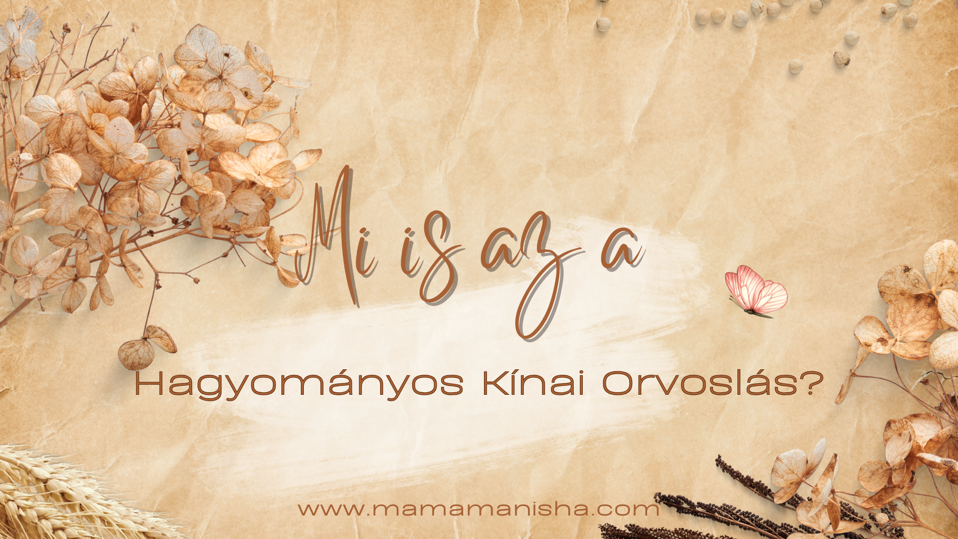 Mi is az a hagyományos kínai orvoslás?