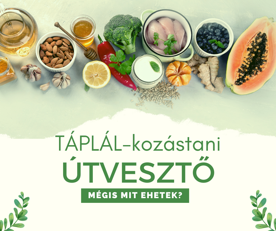 TÁPLÁL-kozástani útvesztő