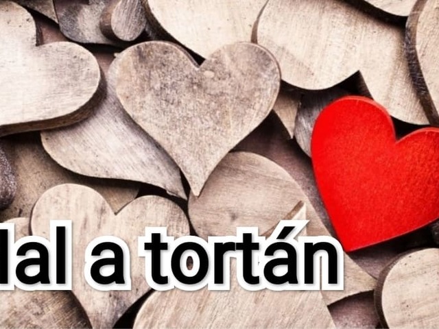 Hal a tortán !