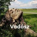 Vadász