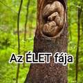 Az élet fája