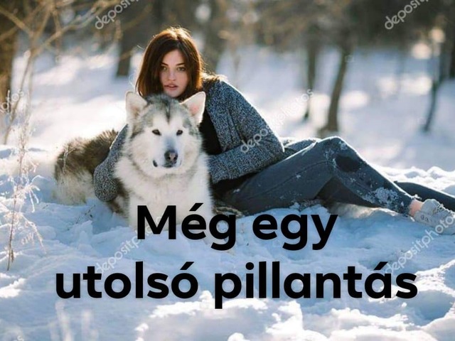 Még egy utólsó pillantás...