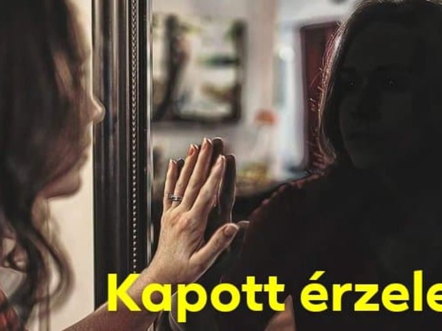 Kapott érzelem