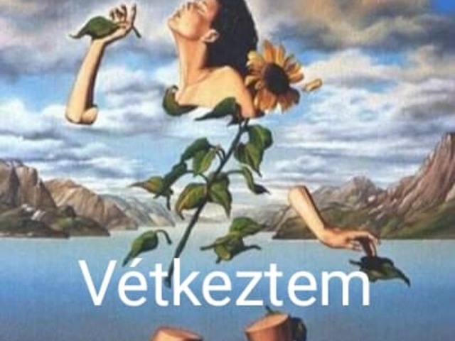 Vétkeztem