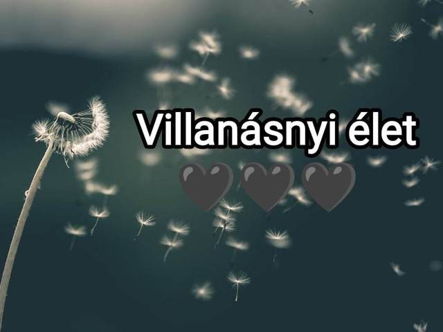 Villanásnyi élet