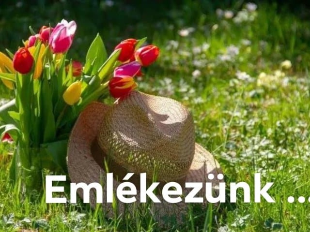 Emlékezünk ...