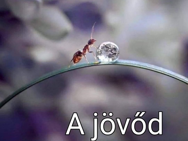 A jövőd