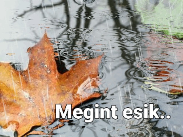 Megint esik..