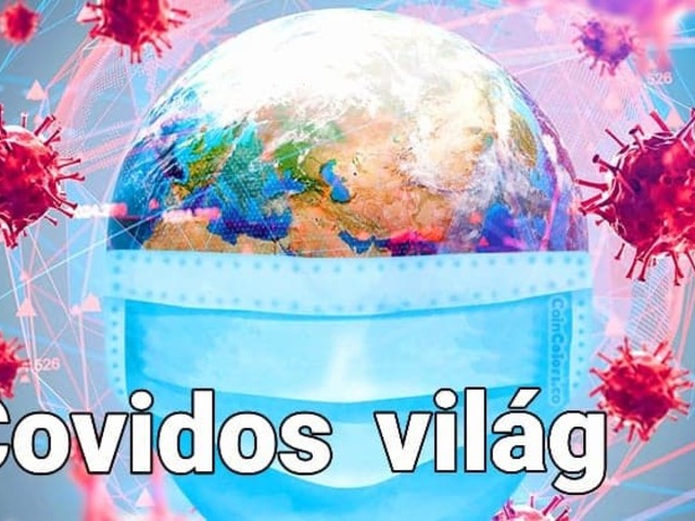 Covidos világ