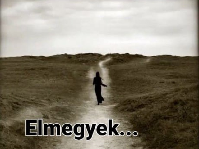 Elmegyek...