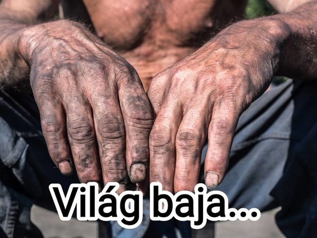 Világ baja...