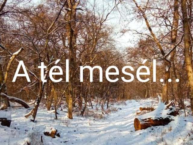 A tél mesél...