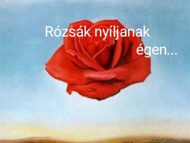 Rózsák nyíljanak égen...