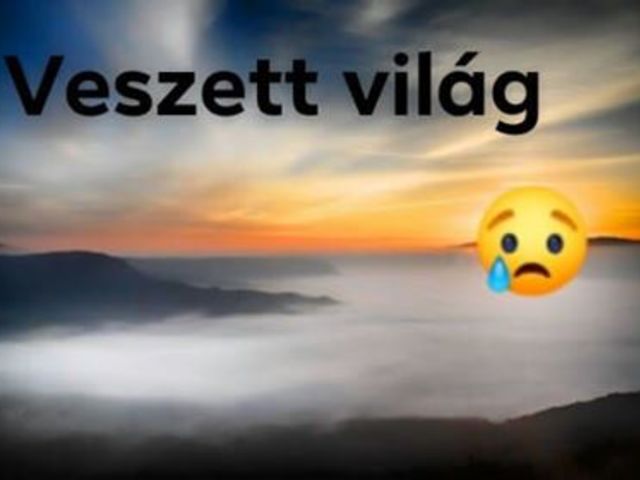 Veszett világ