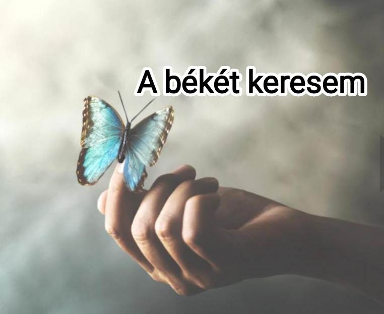 a_beket_keresemjokep.jpg