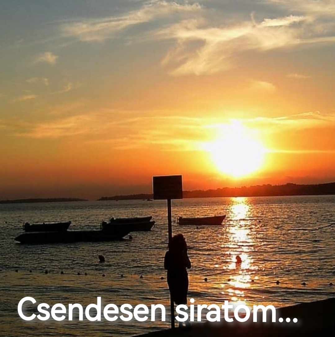 csendesen_irott_n.jpg