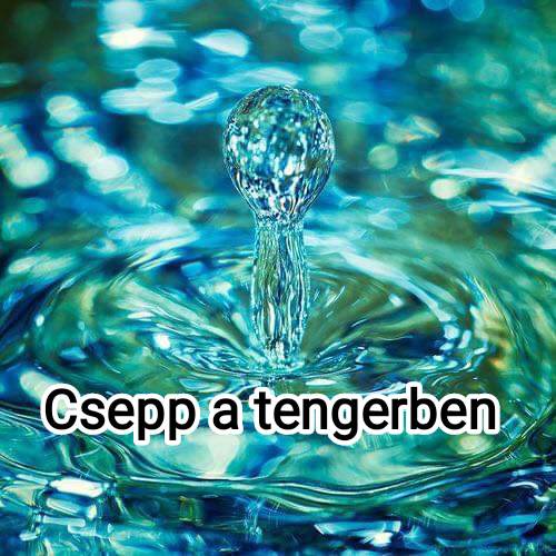 csepp_a_tengerbenjoo.jpg