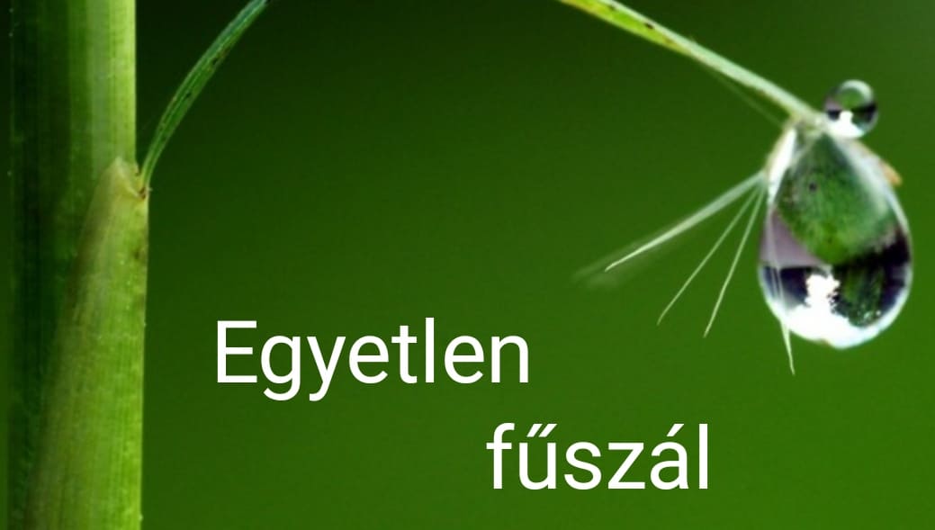 egyetlen_fuszaljokep.jpg