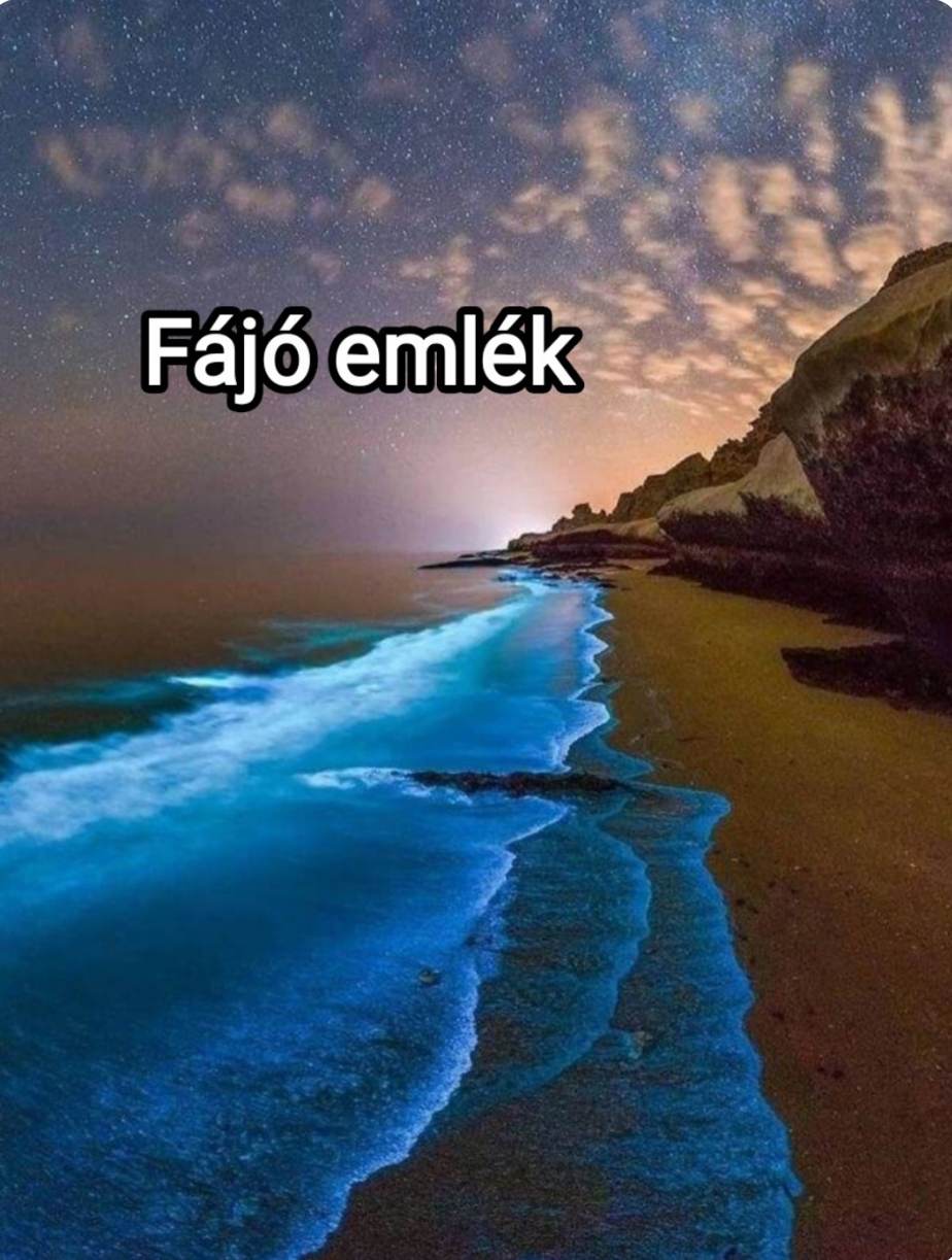 fajo_emlekjokep.jpg