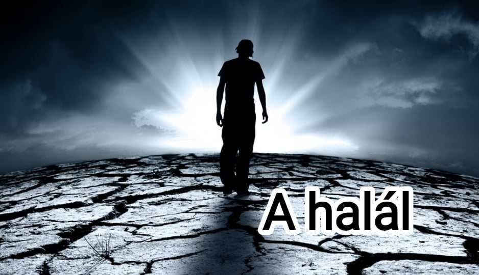 halal29_n.jpg