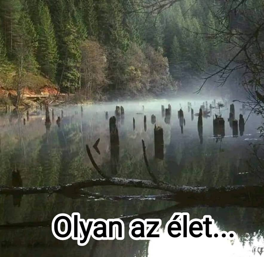 olyan_az_elet_jokep.jpg